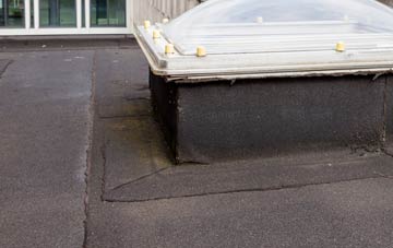 disadvantages of Houston flat roofs